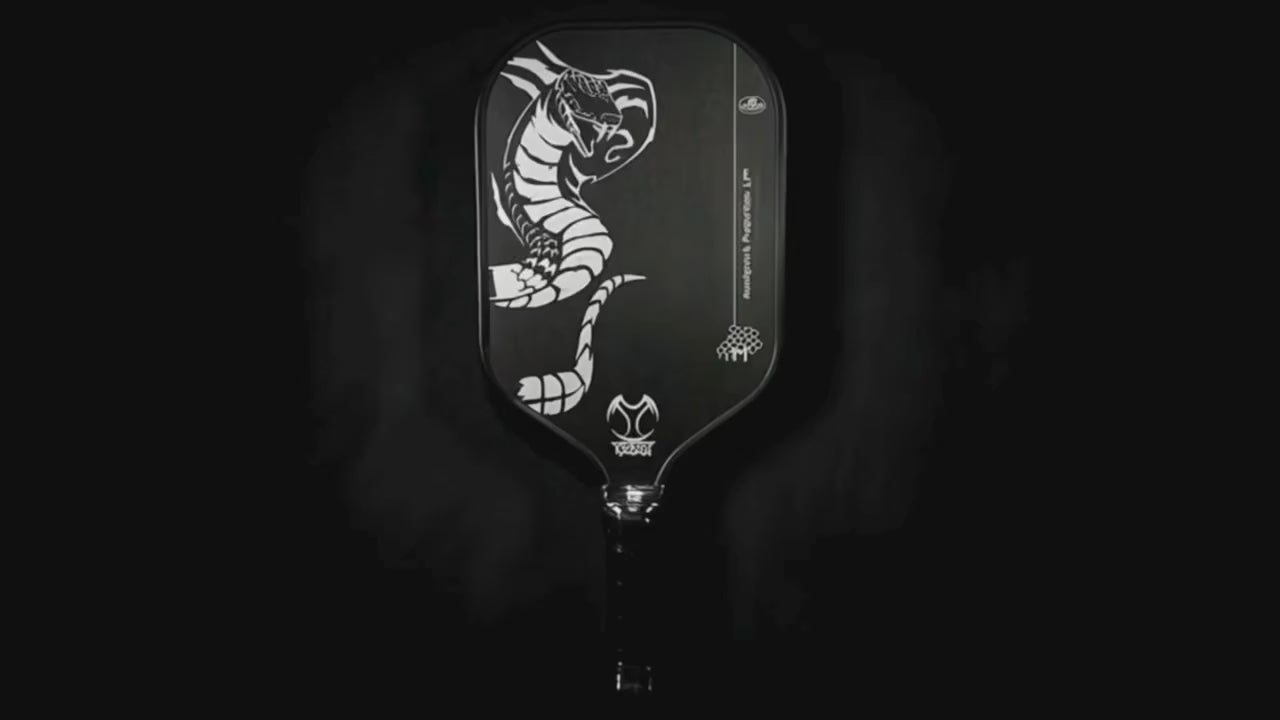 Cobra" Strike" Honeycomb Propulsion Core